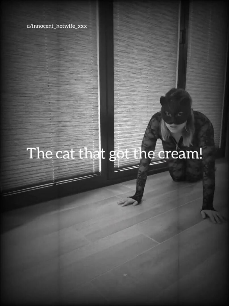 The cat that got the cream... Happy Halloween ????